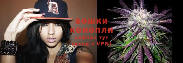 молекула духа Всеволожск