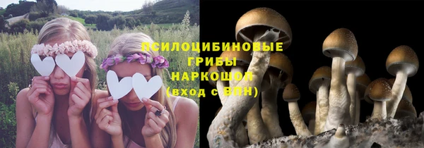 альфа пвп Пестово