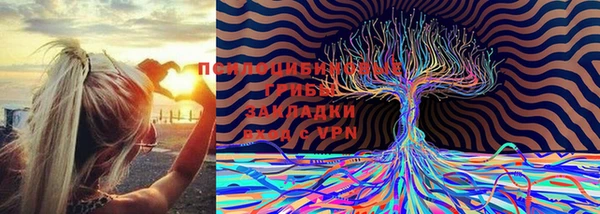 а пвп мука Пересвет