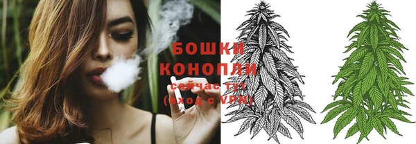 мяу мяу мука Переславль-Залесский