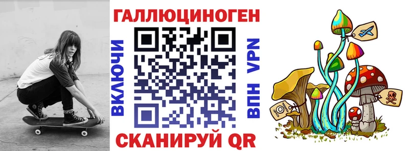omg   Абдулино  Псилоцибиновые грибы мицелий 
